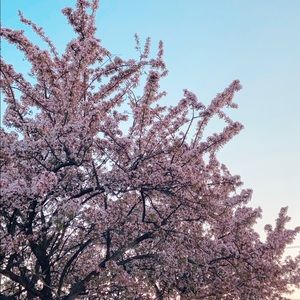 Meet your Posher, Chloe